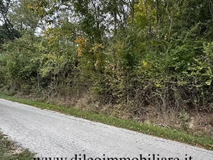 Immagine 14 di Rustico / casale in vendita  a Ripatransone