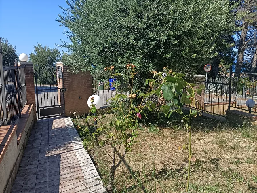 Immagine 4 di Villetta a schiera in vendita  a San Benedetto Del Tronto