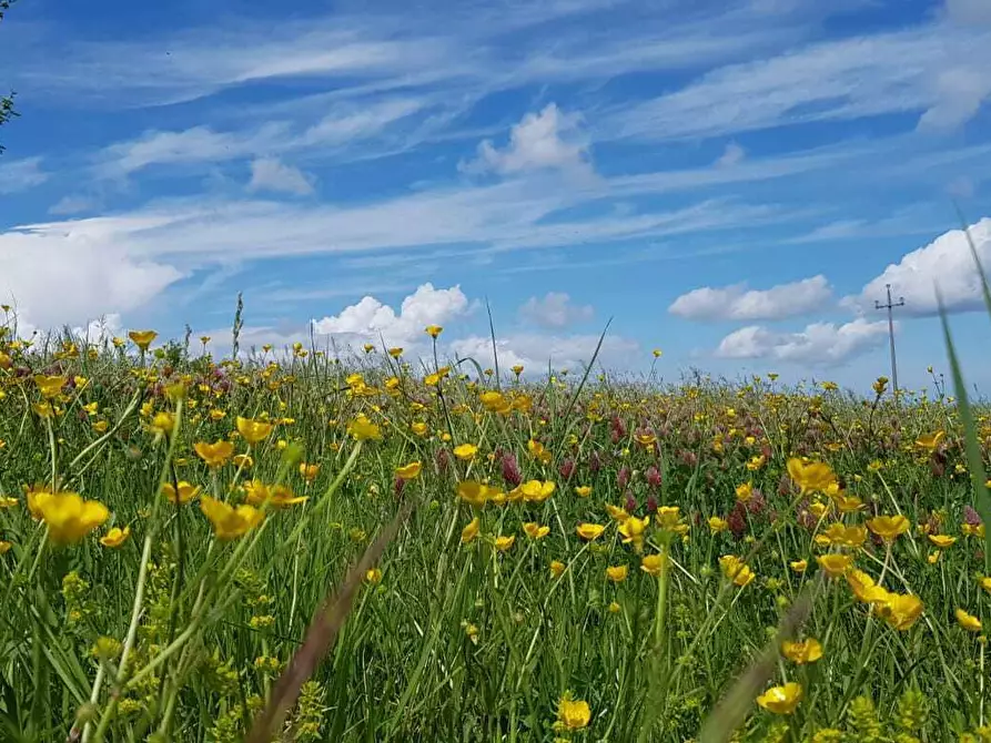 Immagine 7 di Rustico / casale in vendita  in VILLA CASALICCHIO s.n.c. a Amandola