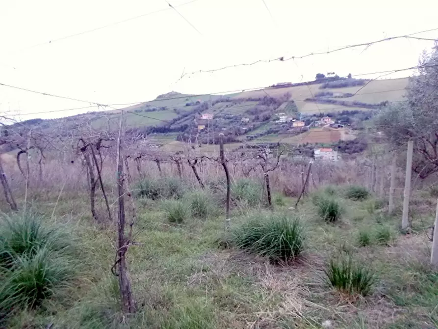 Immagine 20 di Rustico / casale in vendita  a San Benedetto Del Tronto