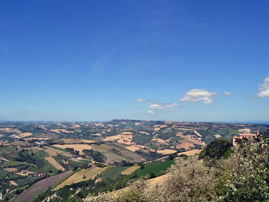 Immagine 6 di Appartamento in vendita  a Ripatransone