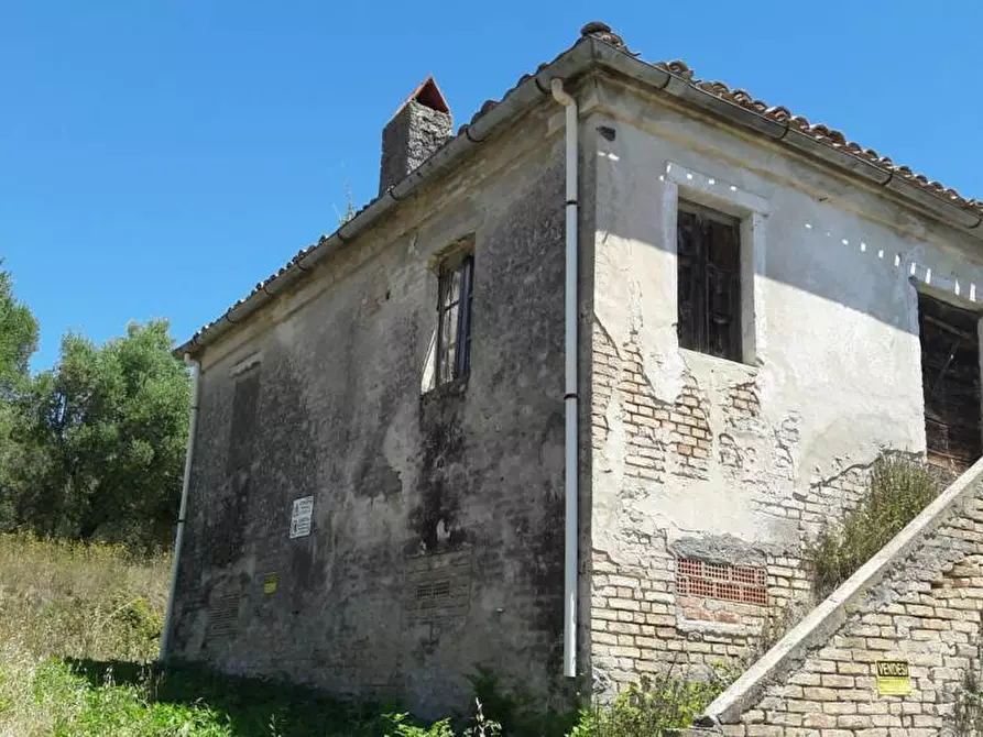 Immagine 3 di Rustico / casale in vendita  in Strada Provinciale 3 868 a Colonnella