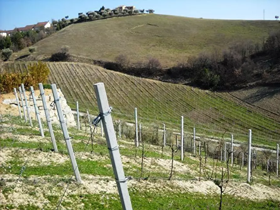 Immagine 9 di Terreno edificabile in vendita  in contrada a Castorano