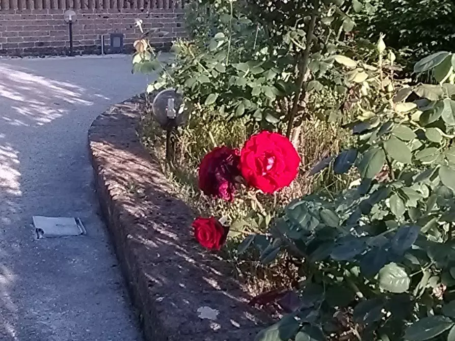 Immagine 31 di Villa in vendita  a Campli