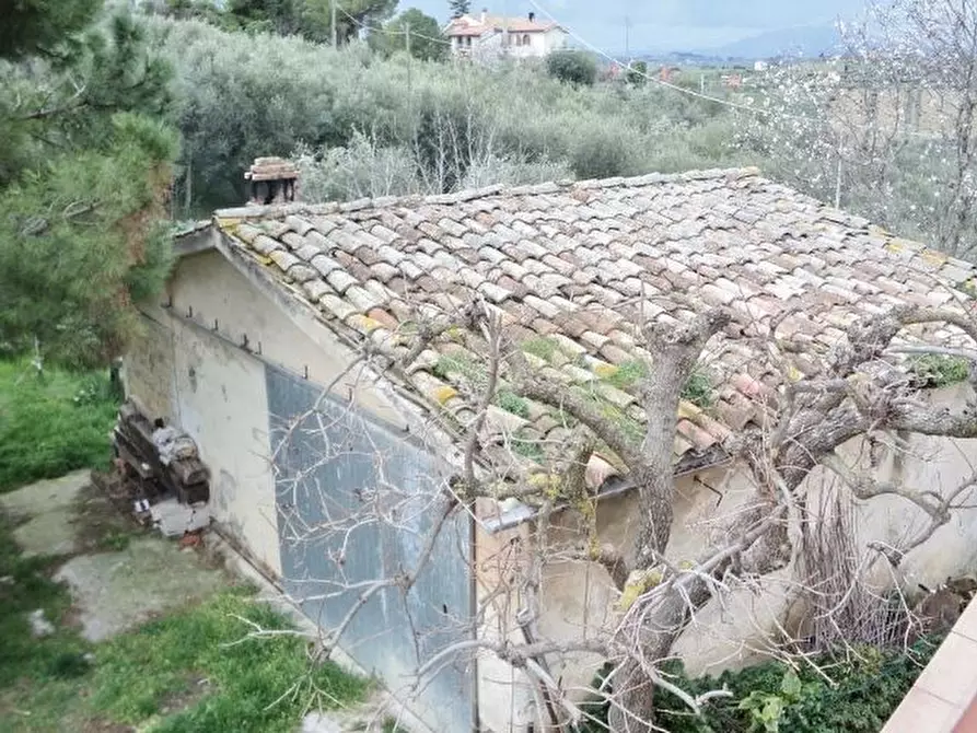 Immagine 6 di Rustico / casale in vendita  a Monsampolo Del Tronto