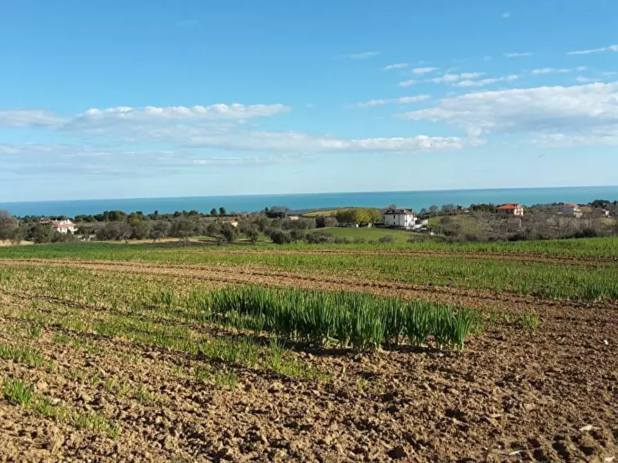Immagine 15 di Terreno agricolo in vendita  a Cupra Marittima