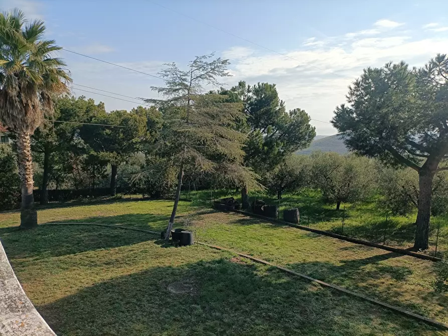 Immagine 32 di Casa indipendente in vendita  a Monteprandone