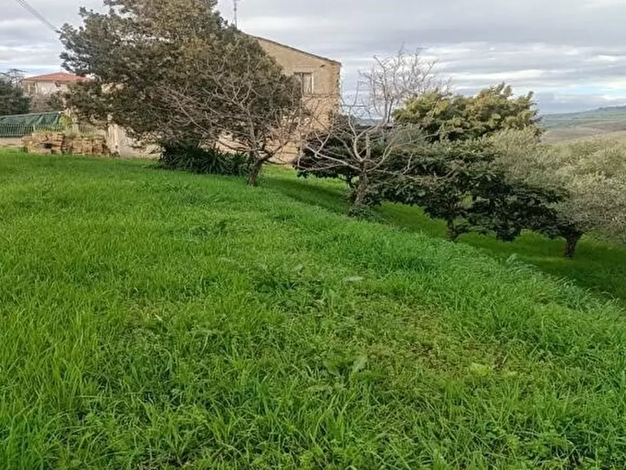 Immagine 5 di Terreno agricolo in vendita  in Contrada Monte Aquilino a San Benedetto Del Tronto