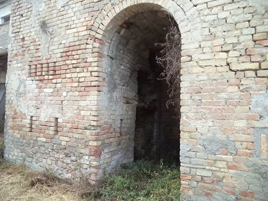 Immagine 6 di Rustico / casale in vendita  in Strada Provinciale 3 868 a Colonnella