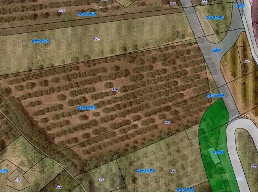 Immagine 5 di Terreno edificabile in vendita  a Colonnella