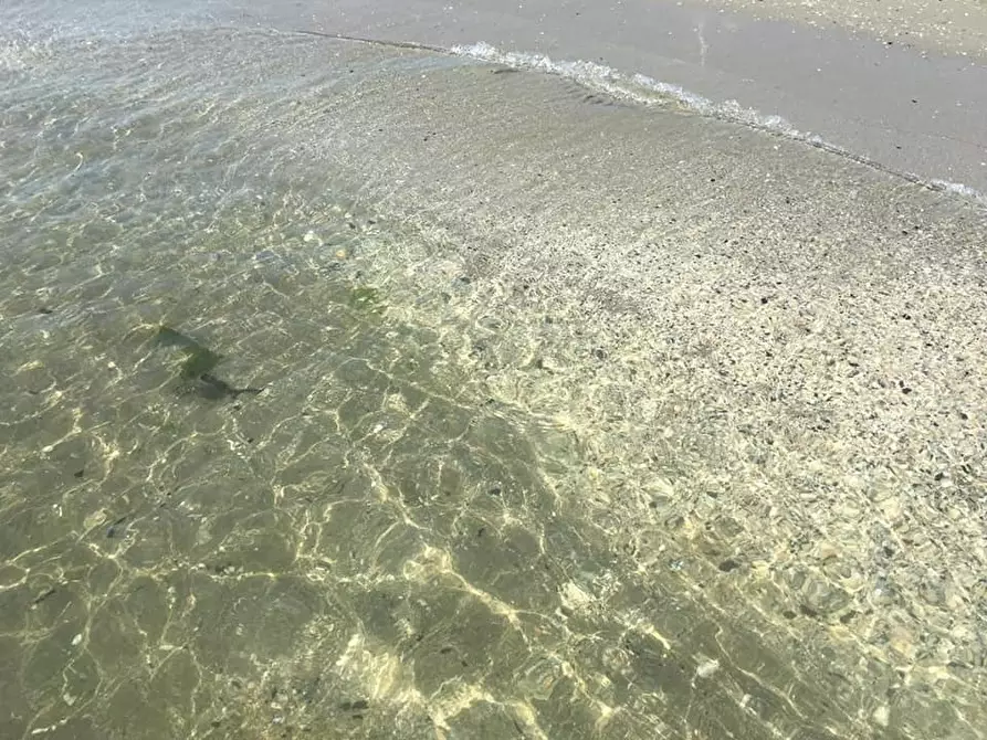 Immagine 4 di Residence in vendita  a Comacchio