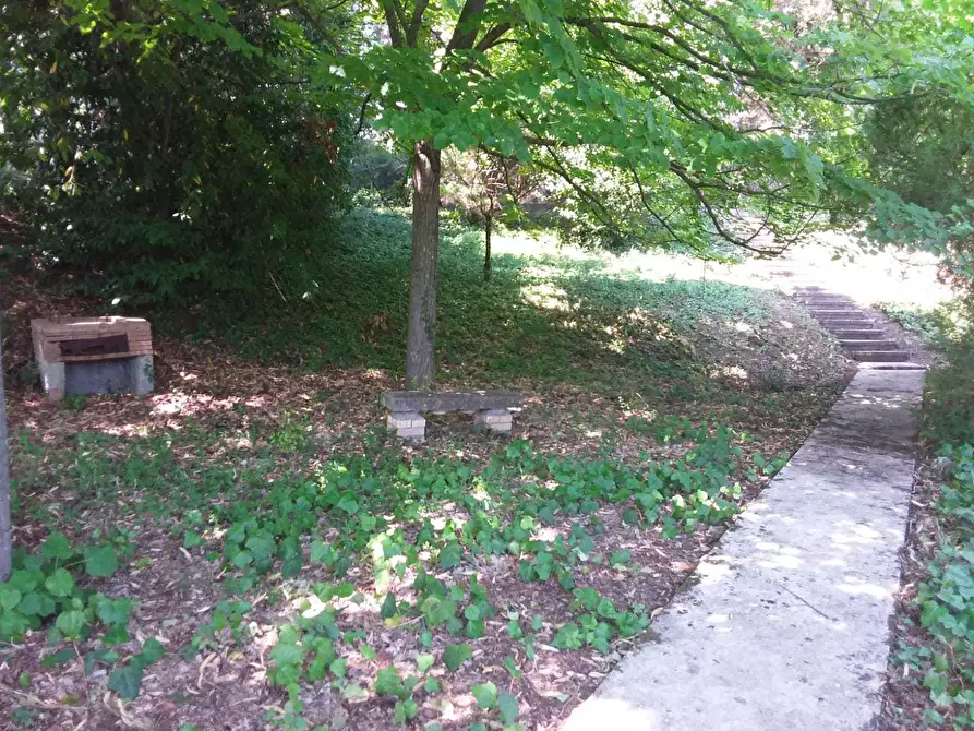 Immagine 30 di Terreno edificabile in vendita  a Tortoreto