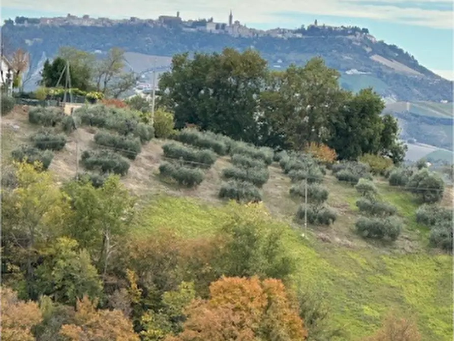 Immagine 17 di Rustico / casale in vendita  a Carassai