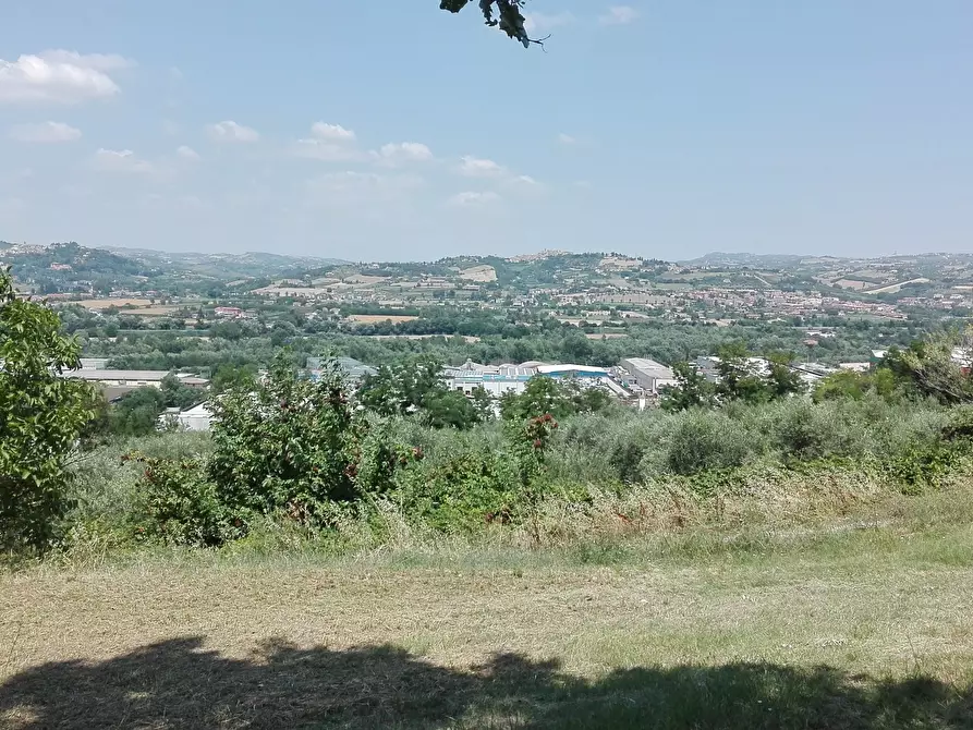 Immagine 15 di Casa indipendente in vendita  a Controguerra