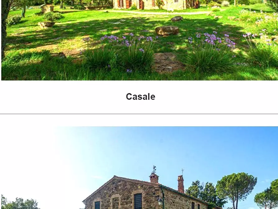 Immagine 6 di Casa vacanze in vendita  a Monterotondo Marittimo