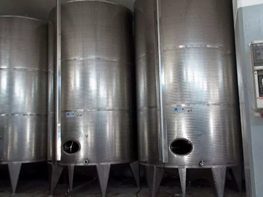 Immagine 14 di Azienda agricola in vendita  a Ripatransone