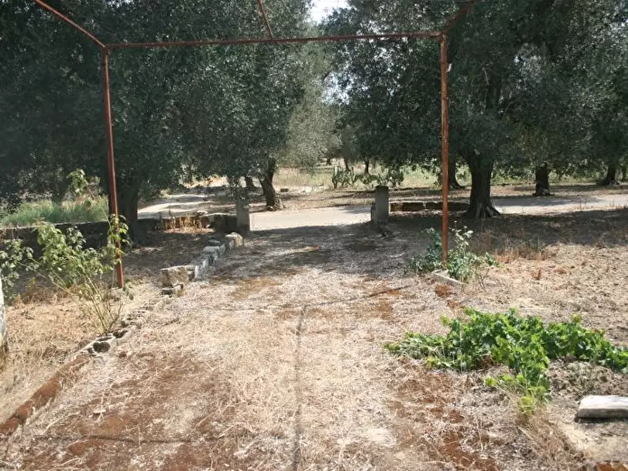 Immagine 41 di Terreno agricolo in affitto  in contrada mandrò a Cutrofiano