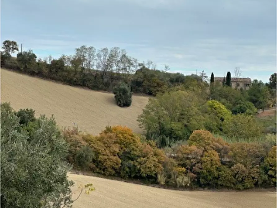 Immagine 18 di Rustico / casale in vendita  a Carassai