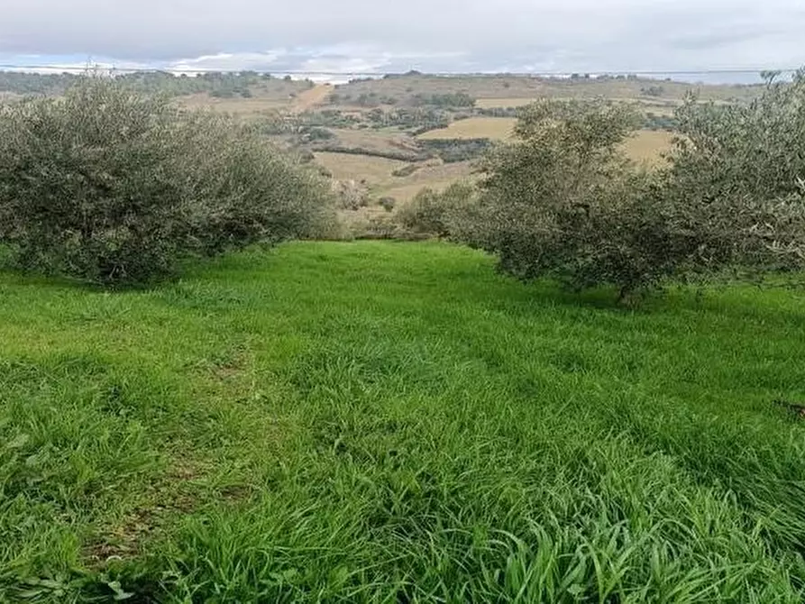 Immagine 7 di Terreno agricolo in vendita  in Contrada Monte Aquilino a San Benedetto Del Tronto