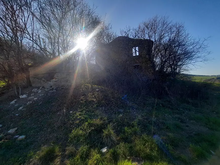 Immagine 11 di Casa indipendente in vendita  in cantina Cocci Grifoni a Ripatransone