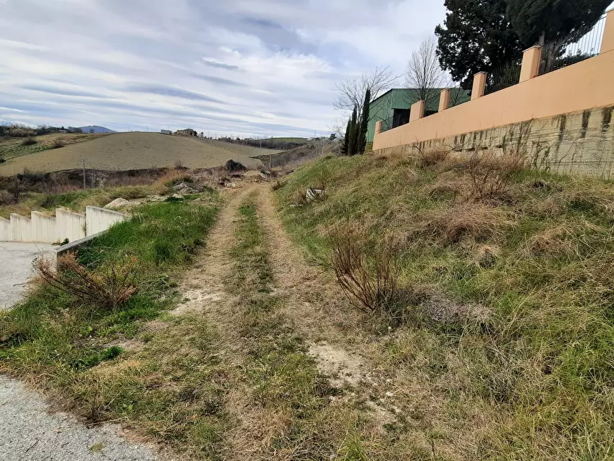 Immagine 2 di Terreno edificabile in vendita  in viale delle tamerici a Offida