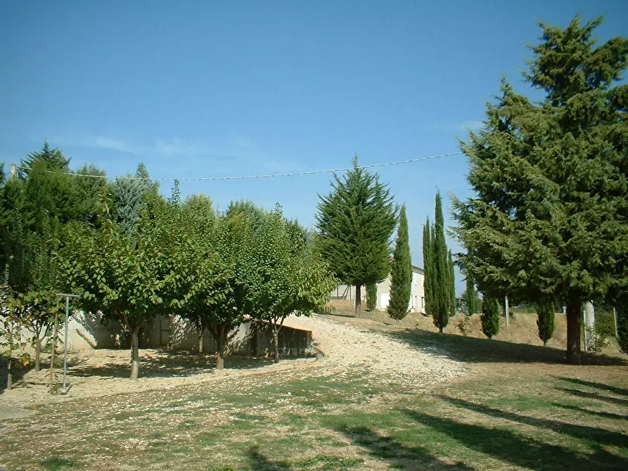 Immagine 14 di Casa indipendente in vendita  a Fermo