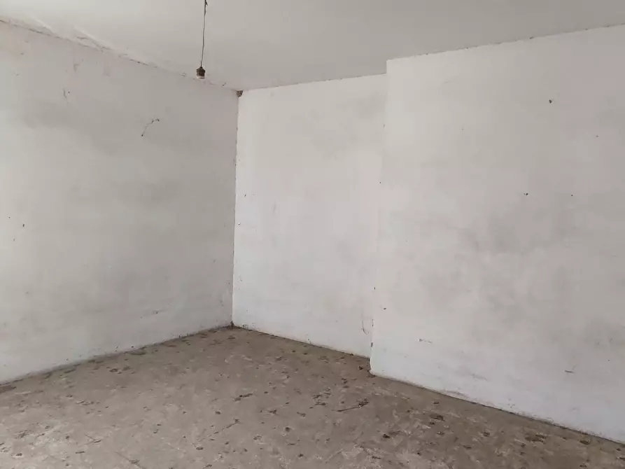 Immagine 11 di Casa indipendente in vendita  a Controguerra