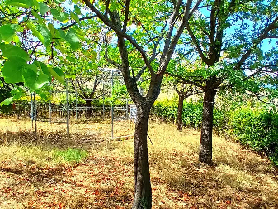 Immagine 41 di Casa indipendente in vendita  a Ancarano