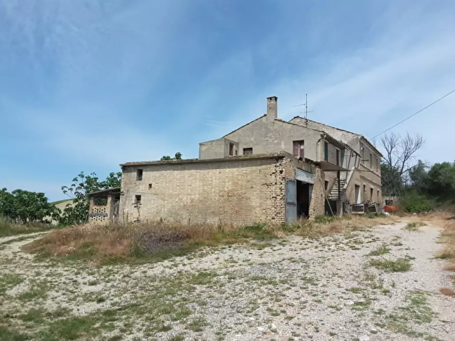 Immagine 1 di Rustico / casale in vendita  a Carassai