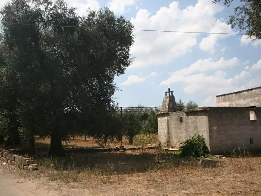 Immagine 27 di Terreno agricolo in vendita  in contrada mandrò a Cutrofiano