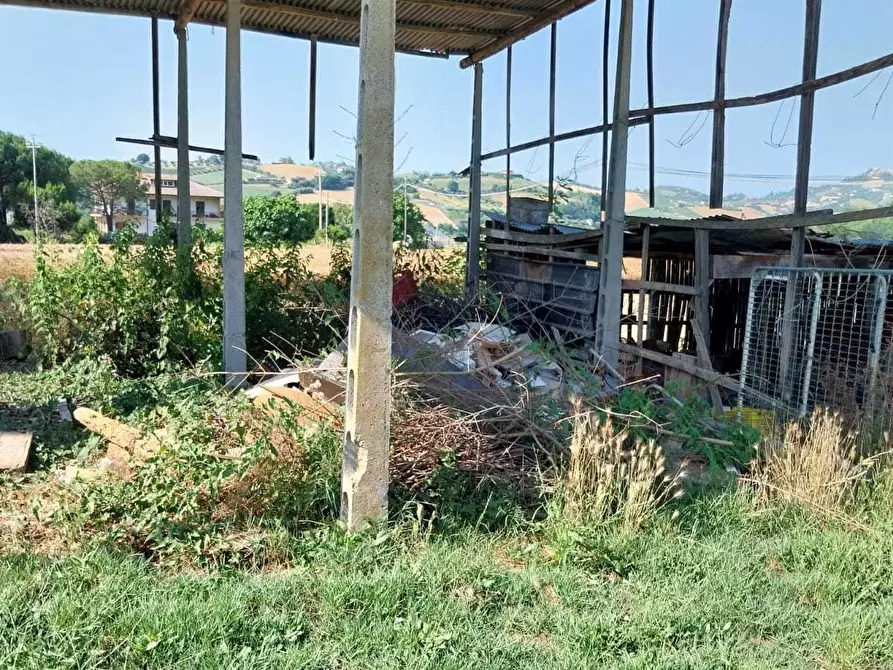 Immagine 14 di Casa indipendente in vendita  a Offida