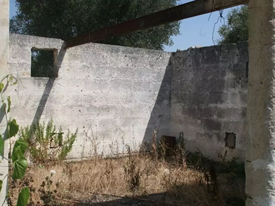 Immagine 11 di Terreno agricolo in affitto  in contrada mandrò a Cutrofiano