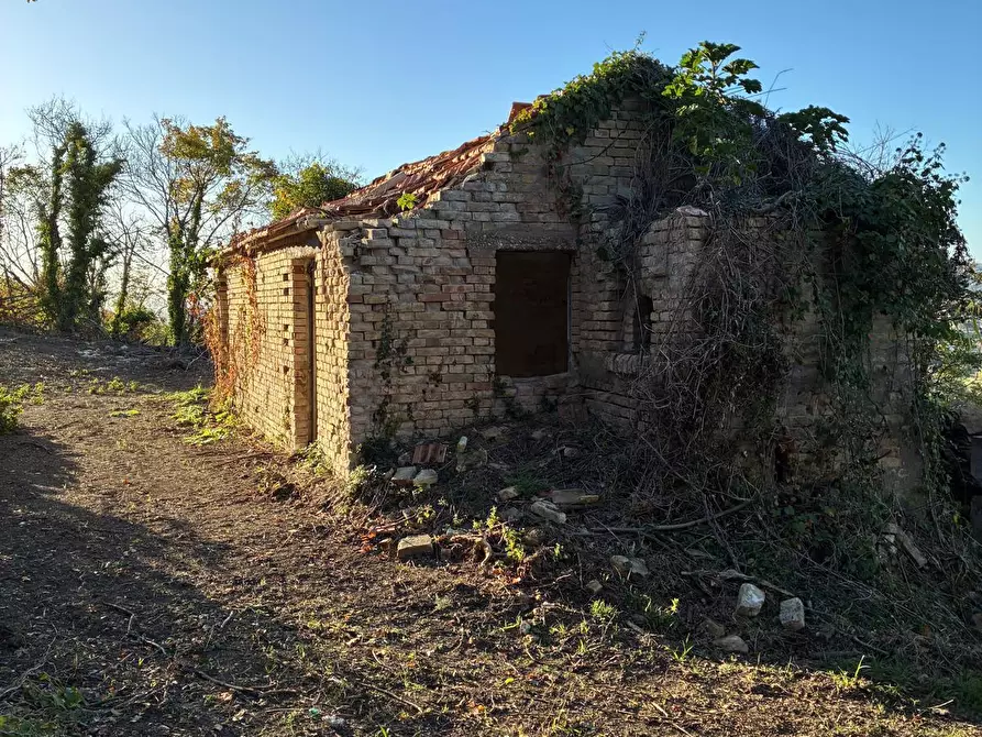 Immagine 5 di Casa indipendente in vendita  a Colonnella