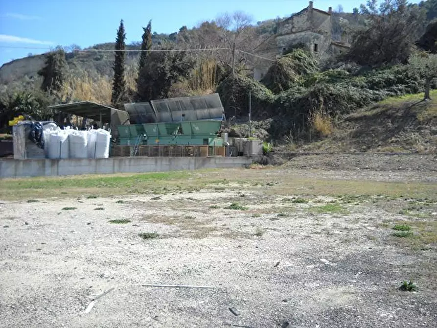 Immagine 10 di Terreno agricolo in affitto  a Grottammare