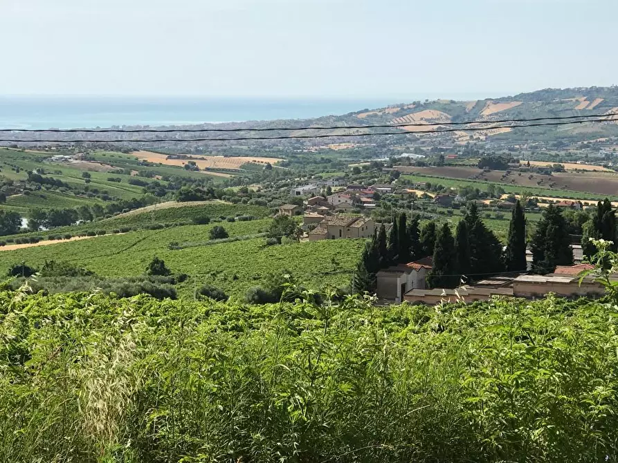 Immagine 13 di Terreno edificabile in vendita  a Colonnella