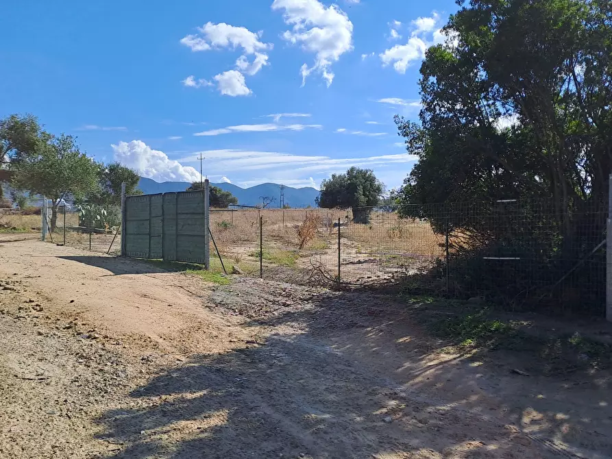 Immagine 1 di Terreno agricolo in vendita  a Quartucciu