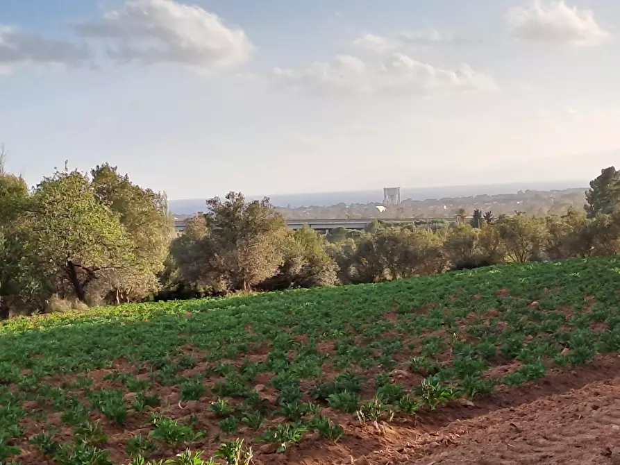 Immagine 18 di Terreno agricolo in vendita  in Via dei Gladioli a Quartucciu