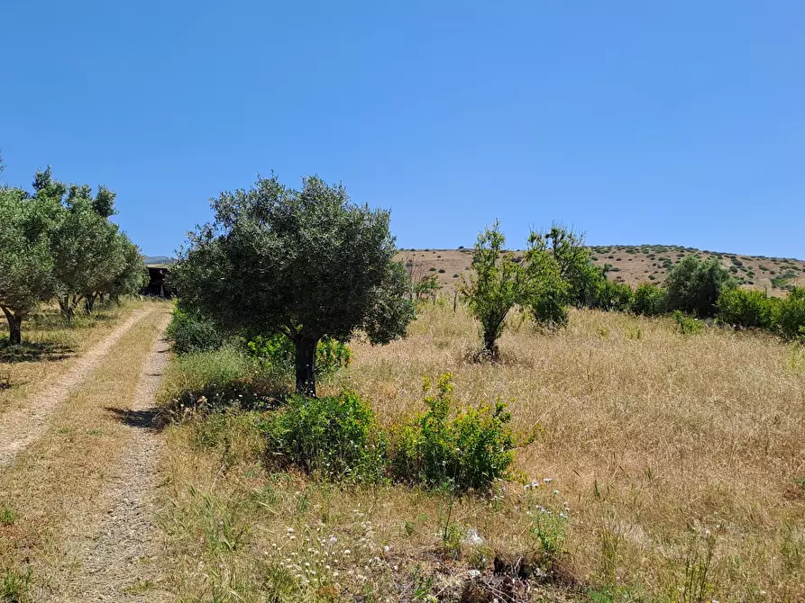Immagine 6 di Terreno agricolo in vendita  a Settimo San Pietro
