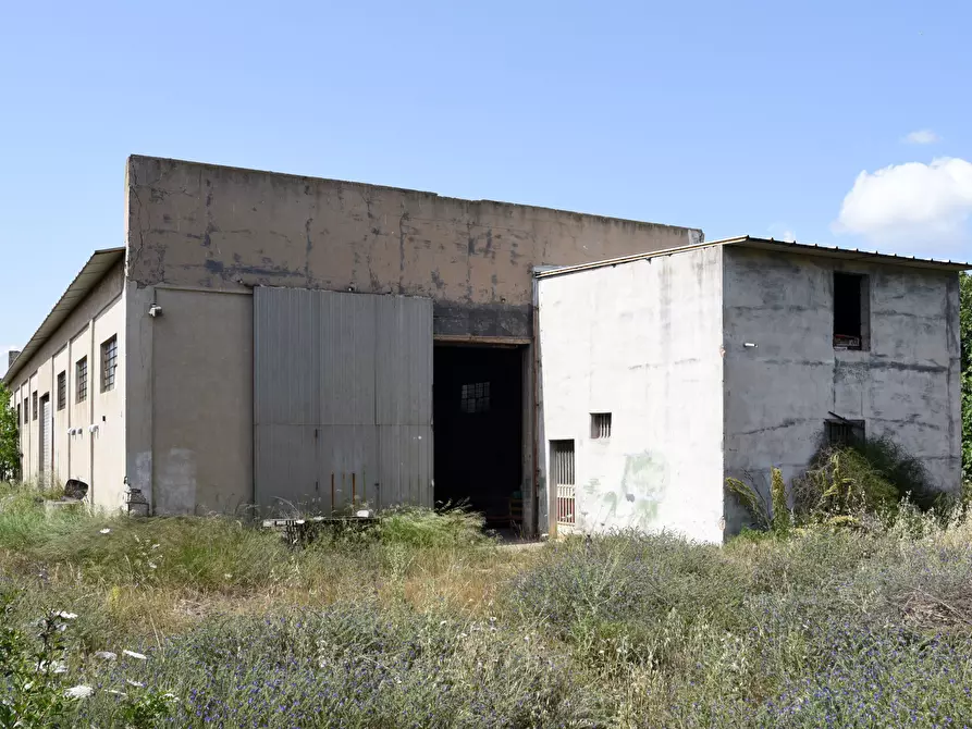 Immagine 28 di Attività artigianale in vendita  a Selargius