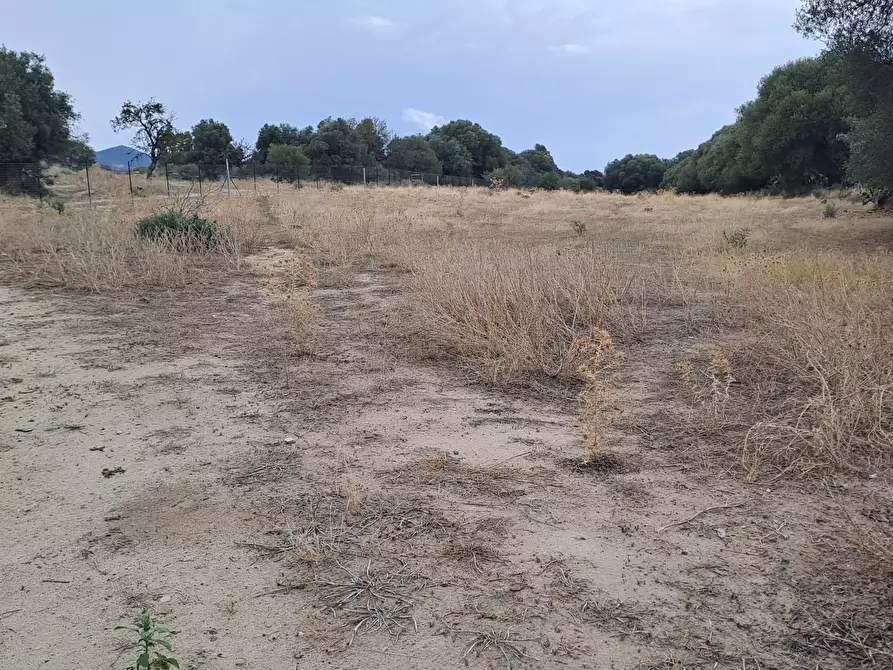 Immagine 10 di Terreno agricolo in vendita  a Quartucciu