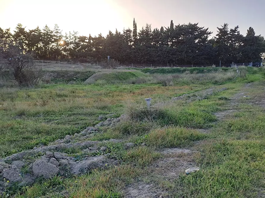 Immagine 1 di Terreno agricolo in vendita  a Quartu Sant'elena