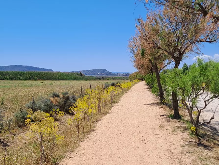 Immagine 19 di Terreno agricolo in vendita  a Quartu Sant'elena