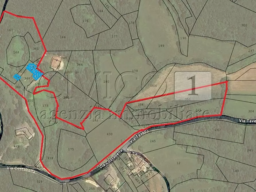 Immagine 31 di Rustico / casale in vendita  in Via Tavella 10 a Barbarano Mossano