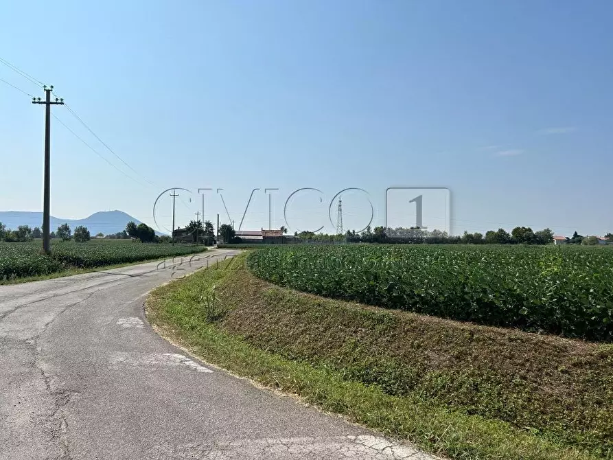Immagine 15 di Terreno agricolo in vendita  in Via Volpara a Castegnero