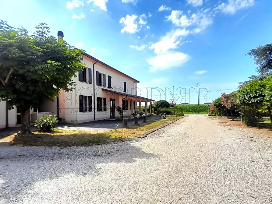 Immagine 8 di Rustico / casale in vendita  in Via Croce 796 a Salara