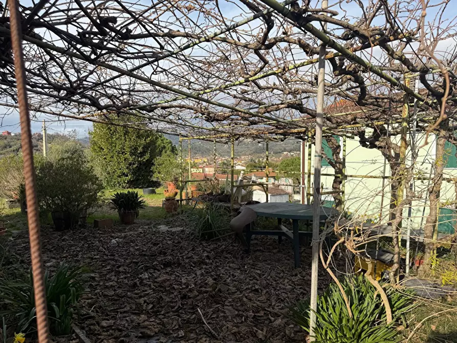 Immagine 6 di Terratetto in vendita  in Via Mazzincollo 35-19 a Sarzana