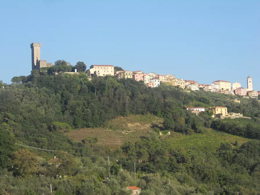 Immagine 33 di Villa in vendita  in Via Montefrancio 69 a Castelnuovo Magra