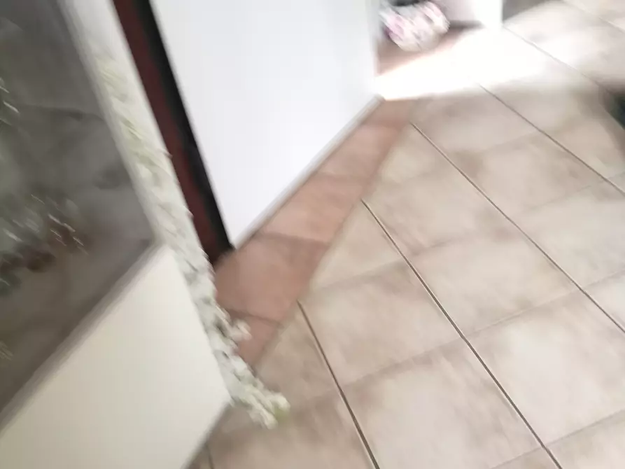 Immagine 25 di Villa in vendita  in Via Del Bozzo Nord 10 a Massa