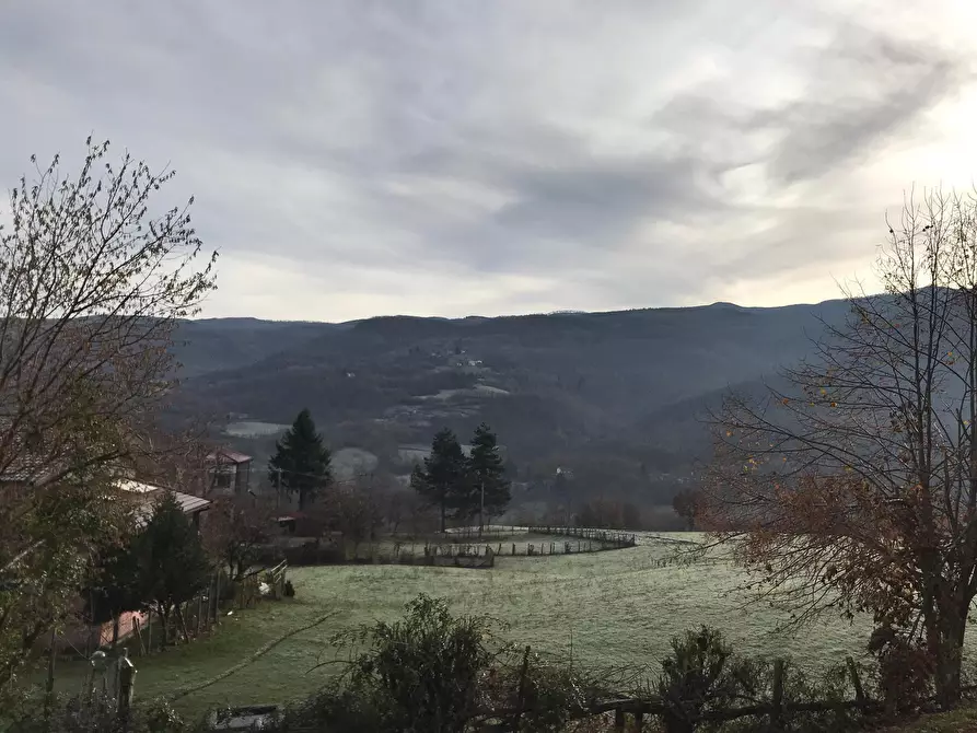 Immagine 11 di Casa indipendente in vendita  in Frazione Groppo 30 a Albareto