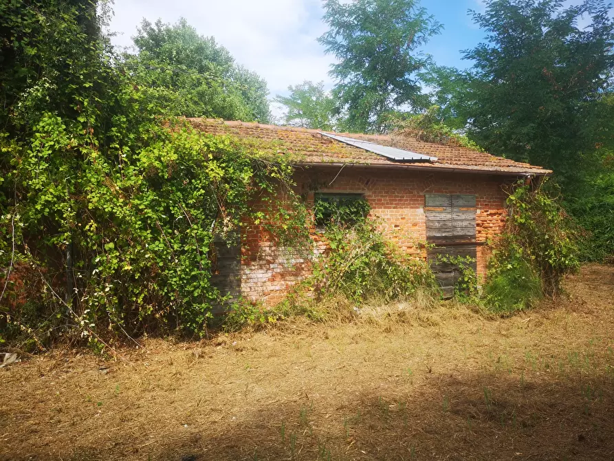 Immagine 4 di Rustico / casale in vendita  in Via Tavolara 59 a Castelnuovo Magra